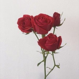 Meet your Posher, Closet